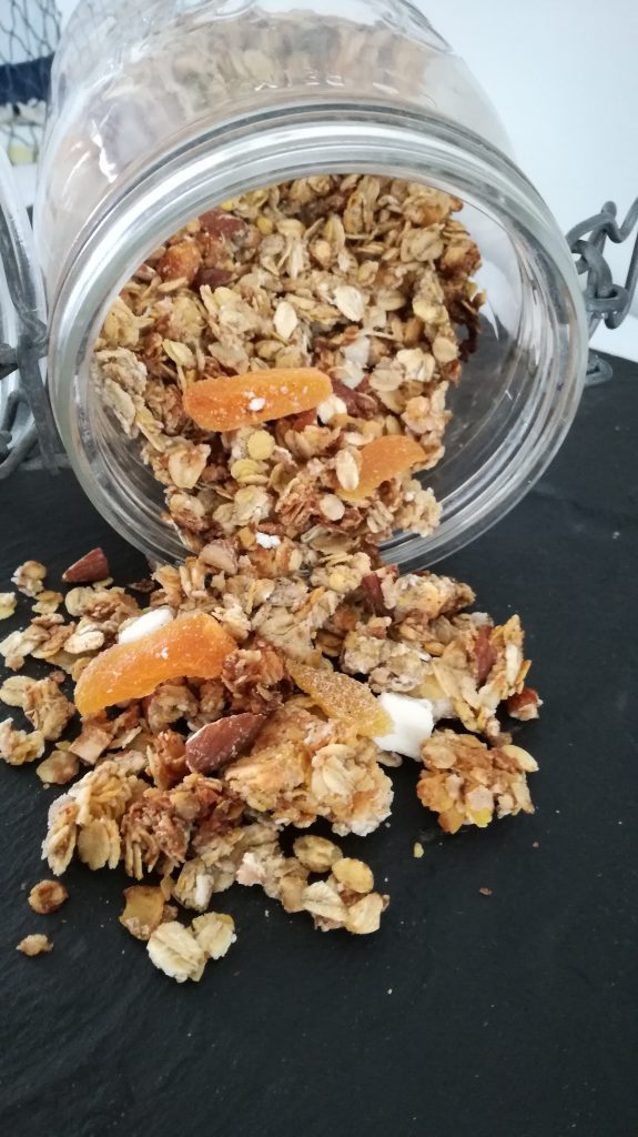 Granolas amandes, coco et abricots Plaisirs Sains et Gourmands